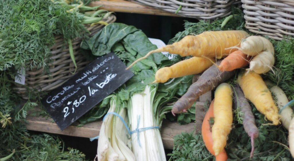 Vendre sa production de carottes en maraîchage diversifié
